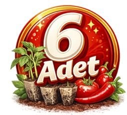 6'lı Fide Paketleri
