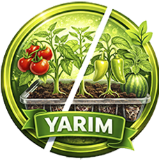 Yarım Koli Fideler