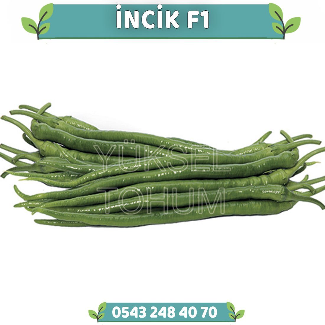 İncik F1 Tatlı Kıl Biber Fidesi