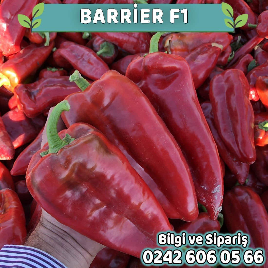 Barrier F1 Kapya Biber Fidesi