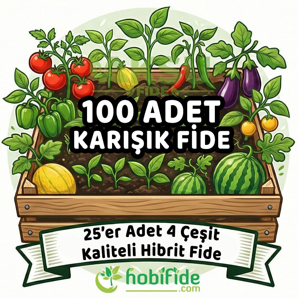 100 Adetli Karışık Hibrit Fide Seti