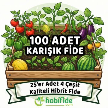 100 Adetli Karışık Hibrit Fide Seti