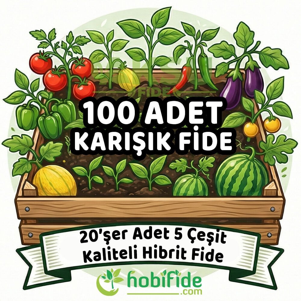 100 Adetli Karışık Hibrit Fide Seti