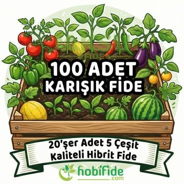 100 Adetli Karışık Hibrit Fide Seti