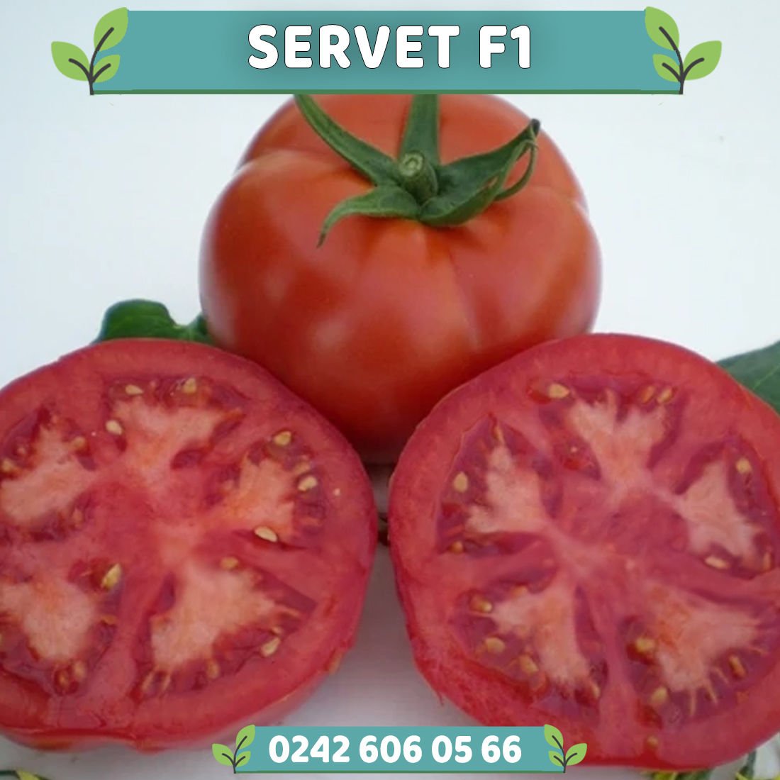 Servet F1 Oturak Domates Fidesi