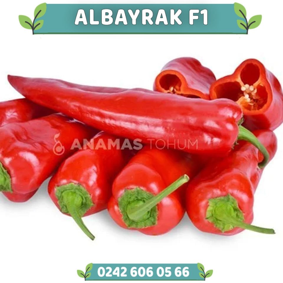 Albayrak F1 Kapya Biber Fidesi