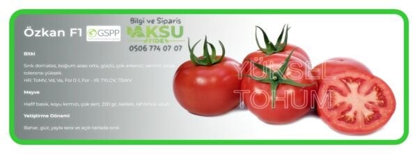 Özkan F1 Sırık Domates Fidesi