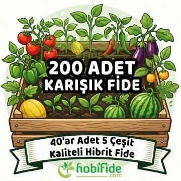 200 Adetli Karışık Hibrit Fide Seti