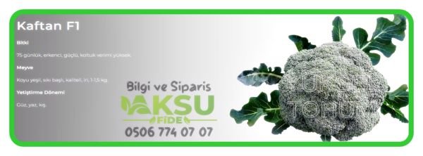 Kaftan F1 Brokoli Tohumu