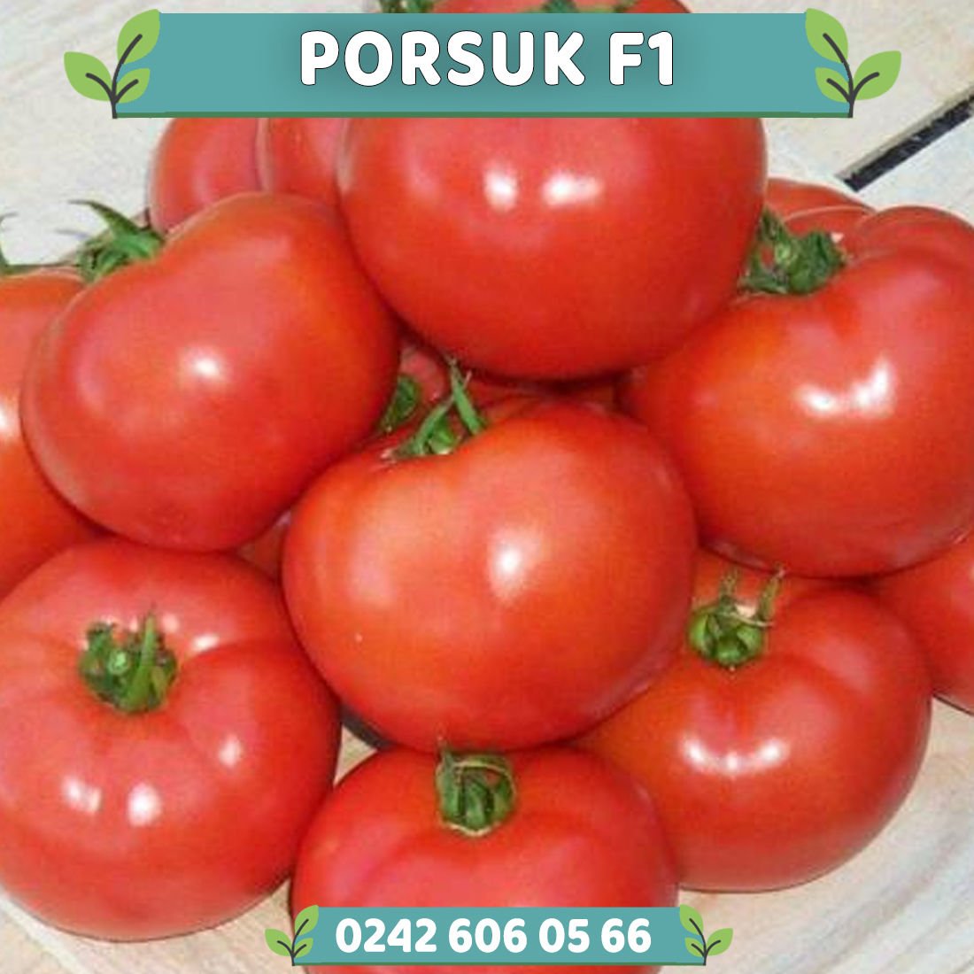 Porsuk F1 Oturak Domates Fidesi