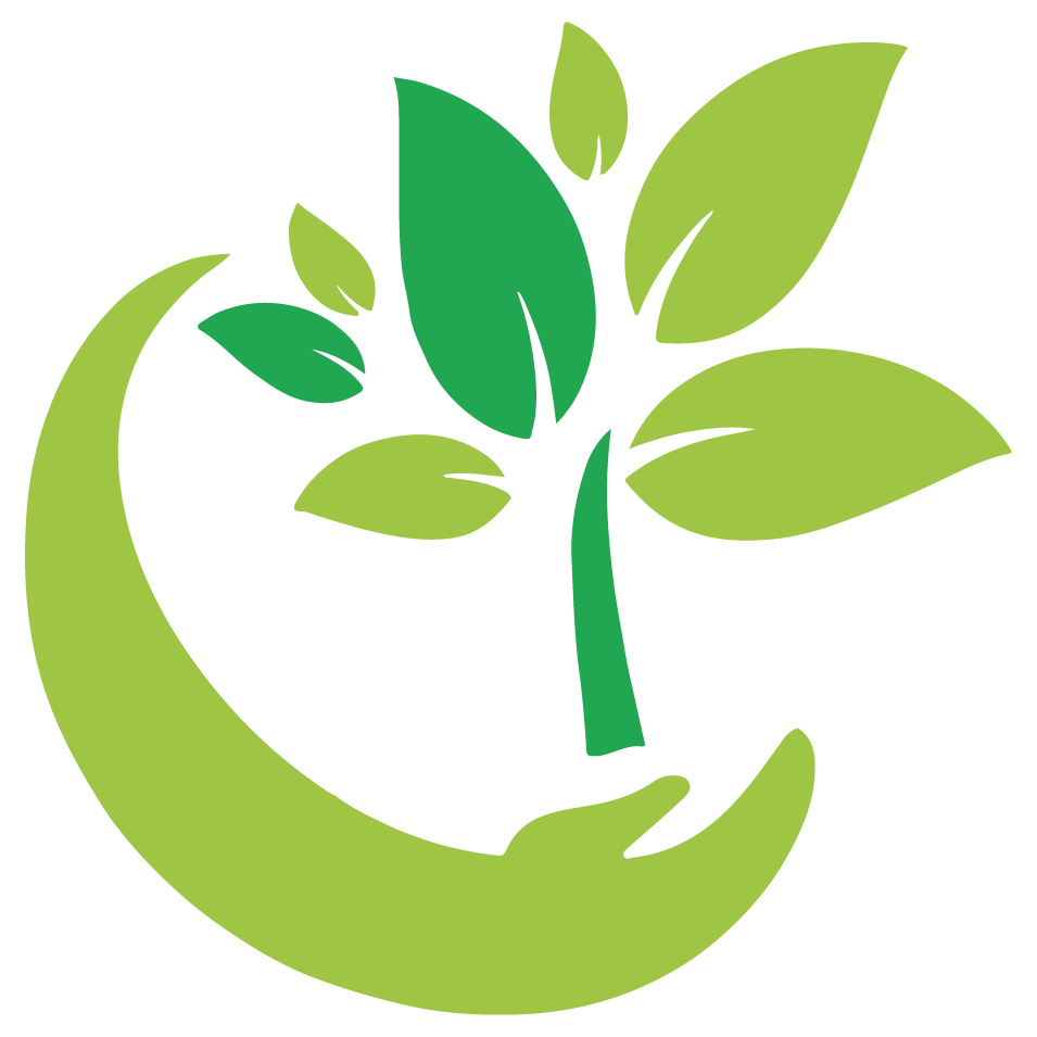 Çarliston Biber Fidesi